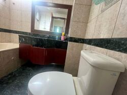 Hazel Park Condominium (D23), Condominium #536241631